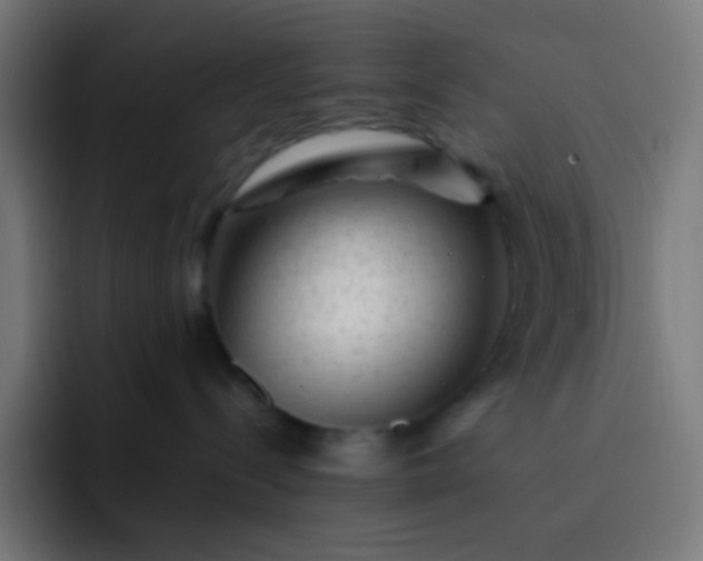 X0000093230288200710101409