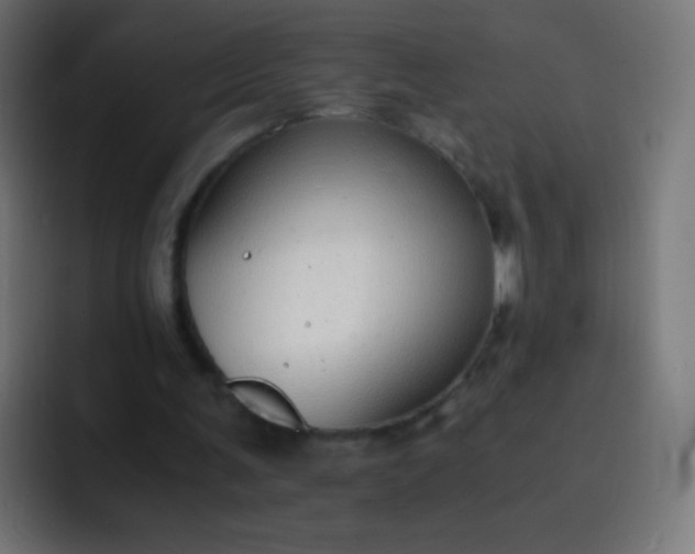 X0000093230291200710101409