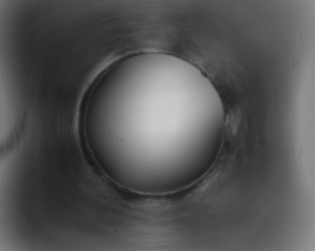 X0000093230292200710101408