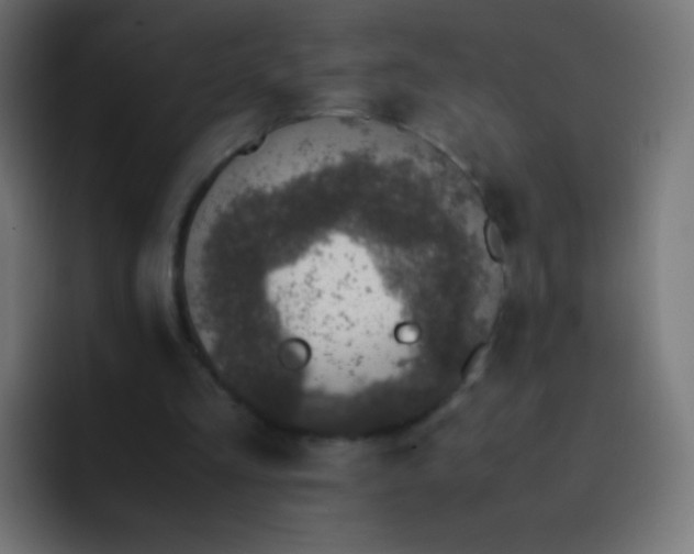 X0000093230293200710101408