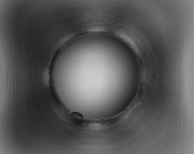 X0000093230298200710101408