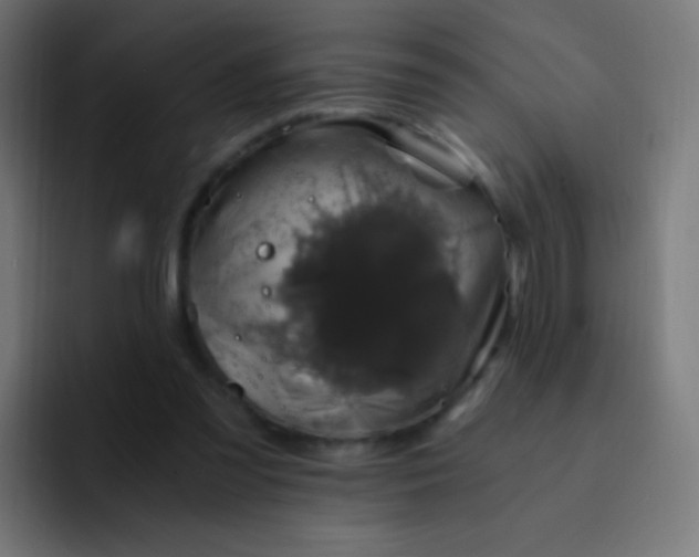 X0000093230301200710101408