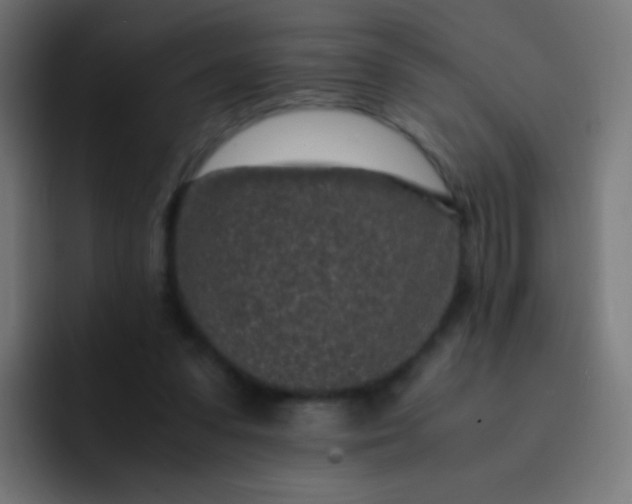 X0000093230303200710101408