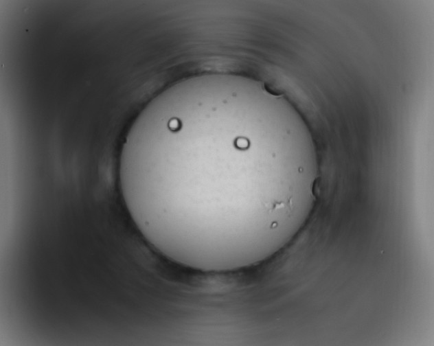 X0000093230305200710101408