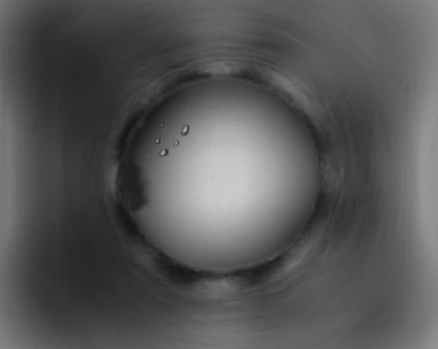 X0000093230307200710101408