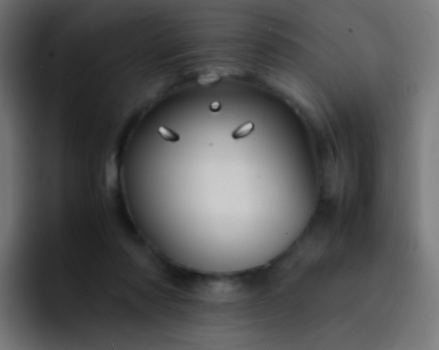 X0000093230310200710101408