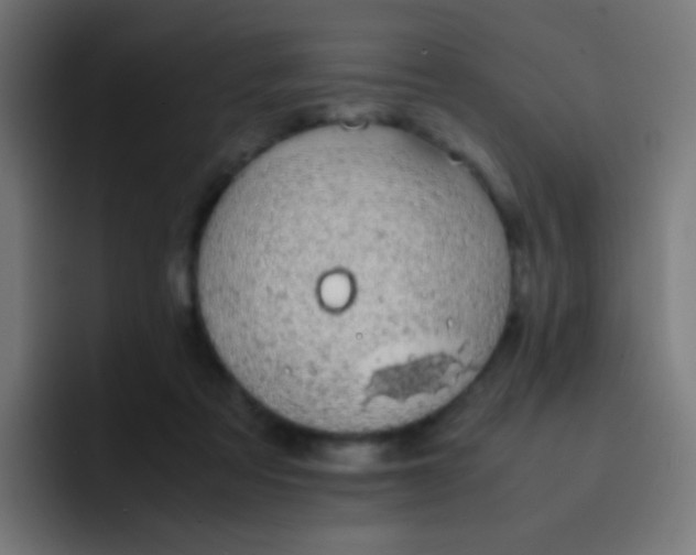 X0000093230313200710101408