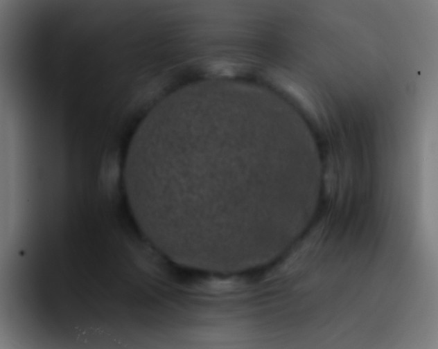 X0000093230314200710101408