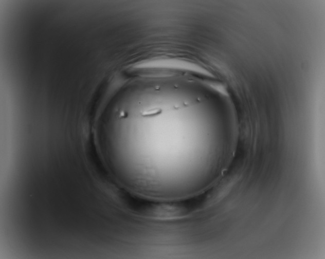 X0000093230315200710101408