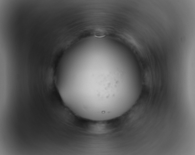 X0000093230318200710101408