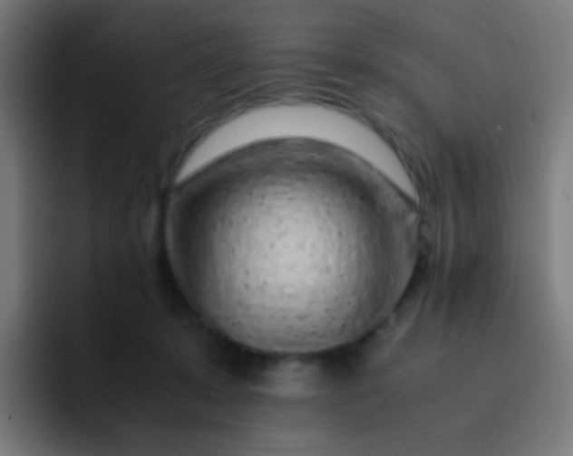 X0000093230319200710101408