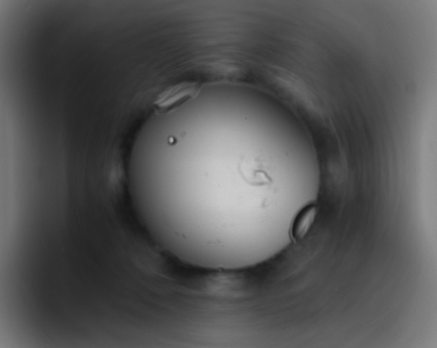 X0000093230320200710101408