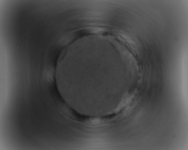 X0000093230325200710101408