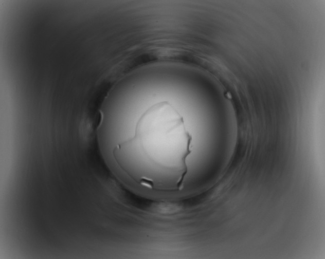 X0000093230327200710101408