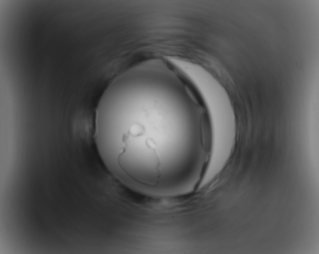 X0000093230329200710101408