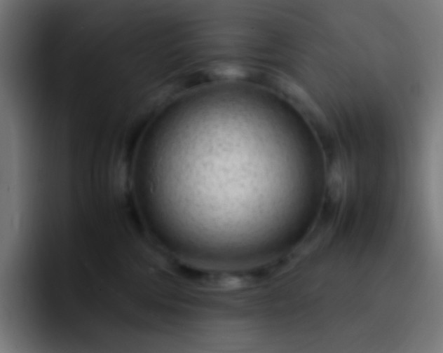 X0000093230330200710101408