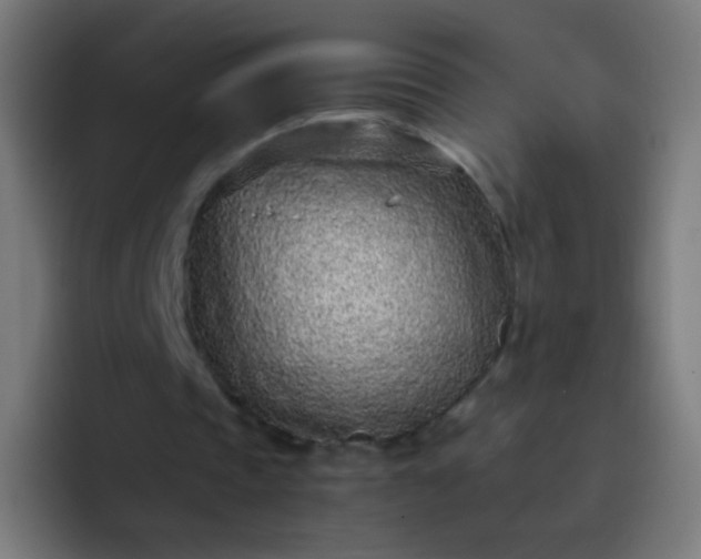 X0000093230337200710101407