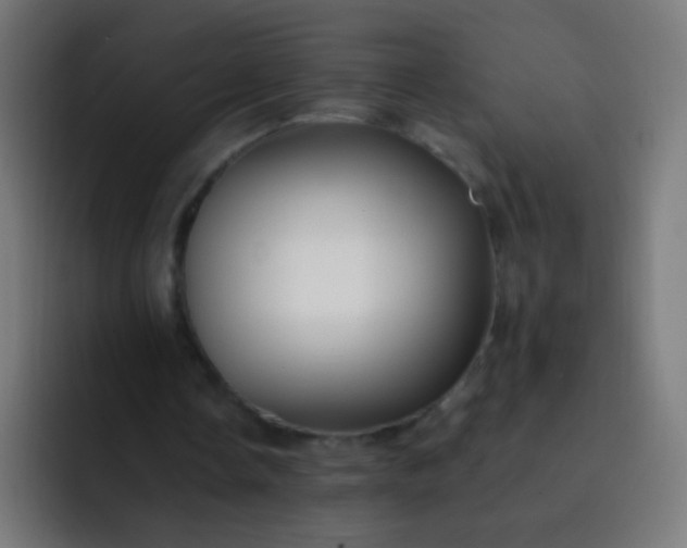 X0000093230338200710101407