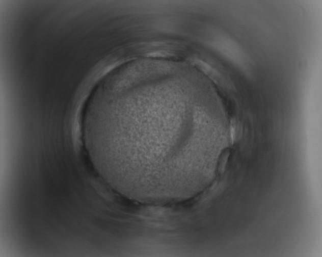 X0000093230339200710101407