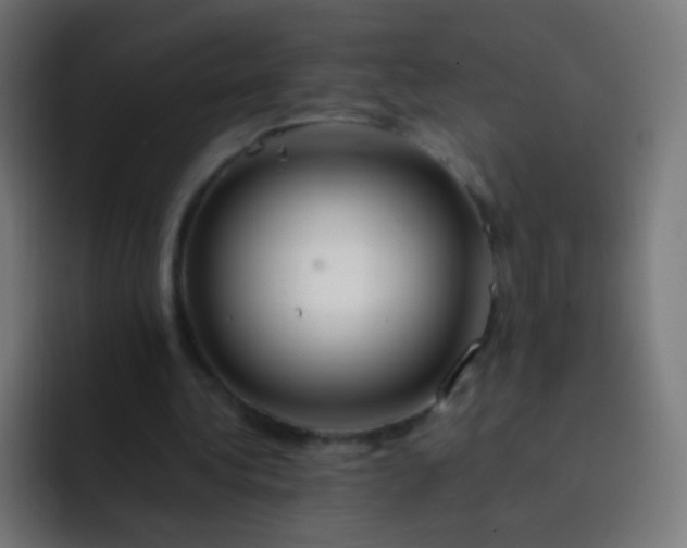 X0000093230340200710101407