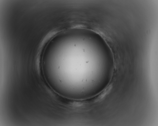 X0000093230341200710101407