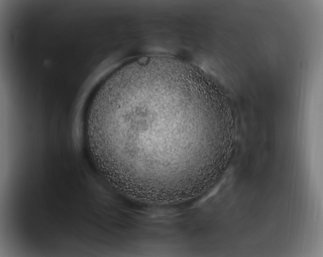 X0000093230343200710101407