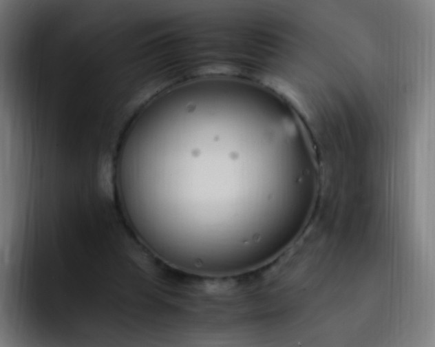 X0000093230345200710101408