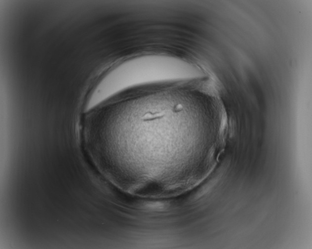 X0000093230349200710101408