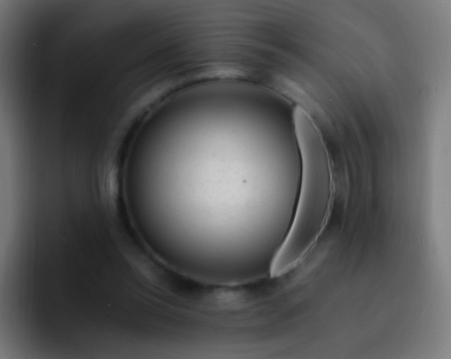 X0000093230350200710101408