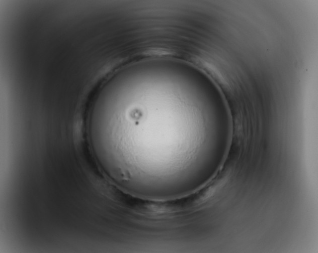 X0000093230351200710101408