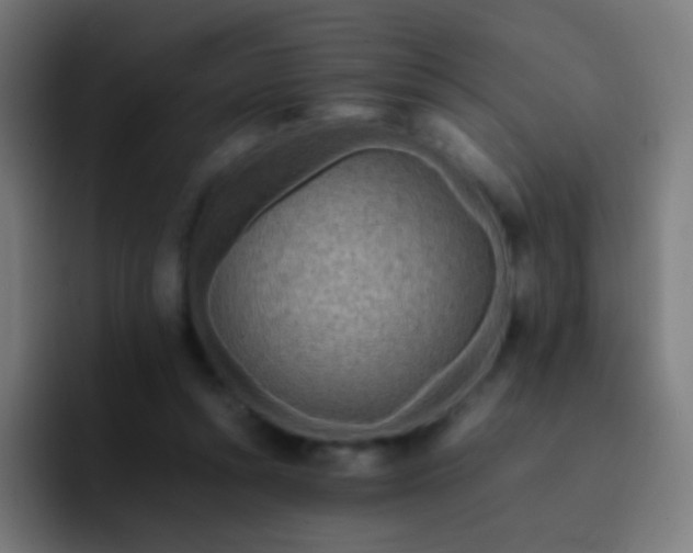 X0000093230352200710101408