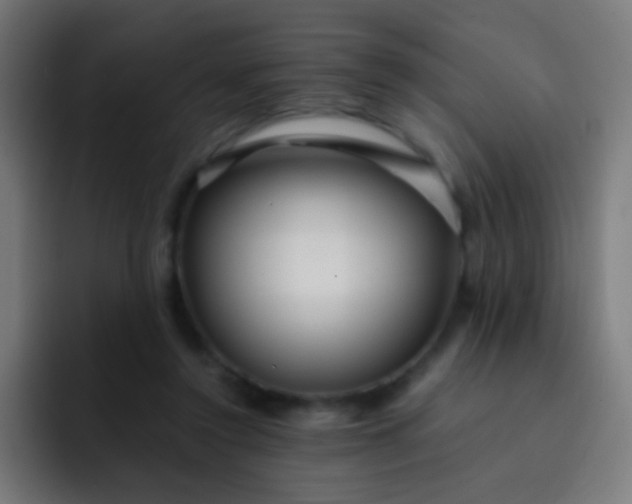 X0000093230356200710101408