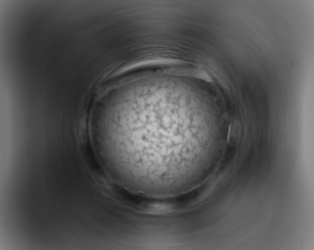 X0000093230360200710101408