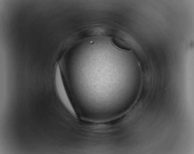 X0000093230361200710101408