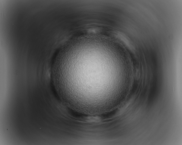 X0000093230363200710101408