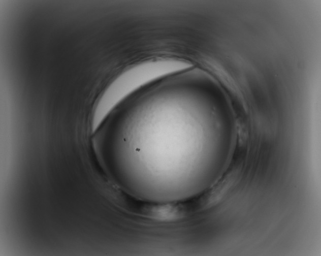 X0000093230365200710101408