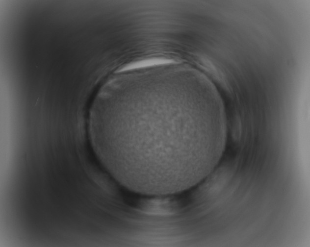 X0000093230366200710101408