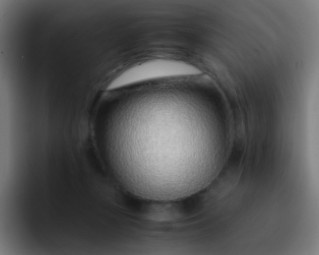 X0000093230367200710101408