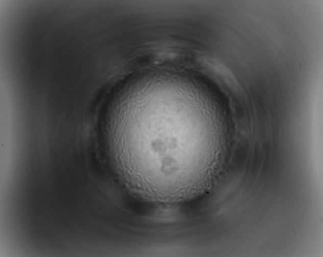 X0000093230369200710101408