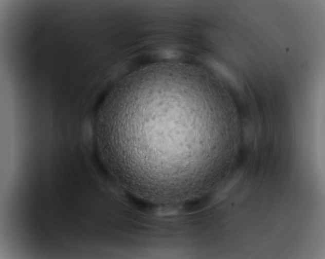 X0000093230373200710101408