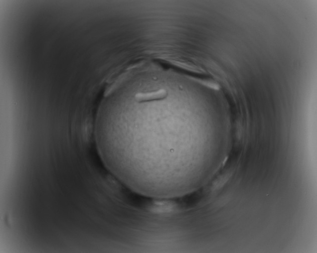 X0000093230376200710101408