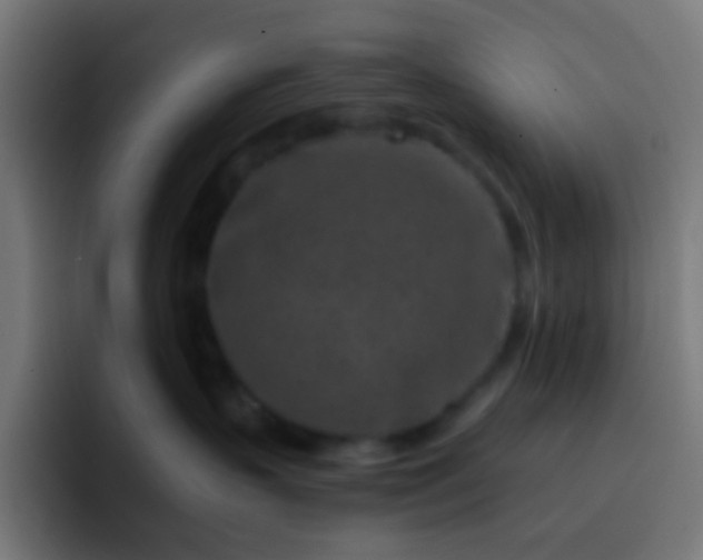 X0000093230383200710101408