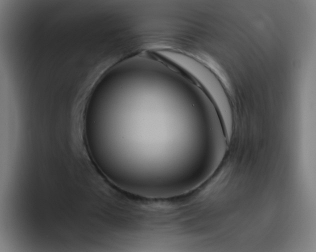 X0000093230385200710101407