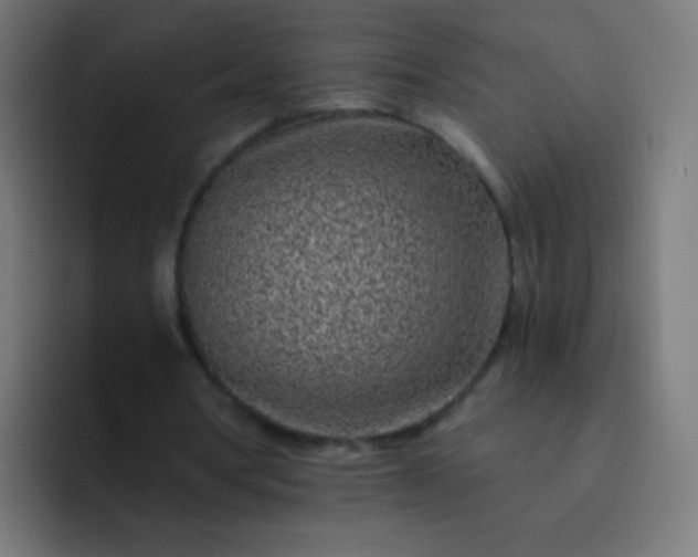 X0000093230386200710101407