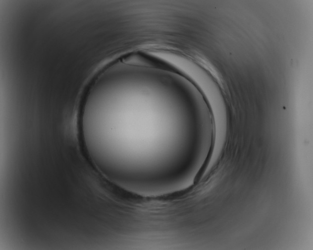 X0000093230387200710101407