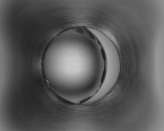 X0000093230389200710101407