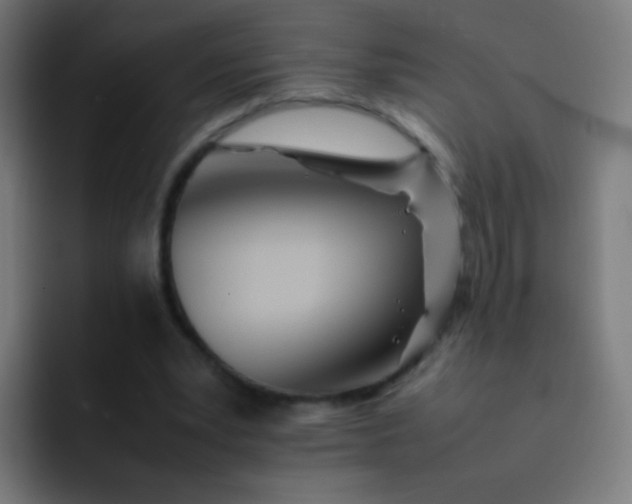 X0000093230391200710101407