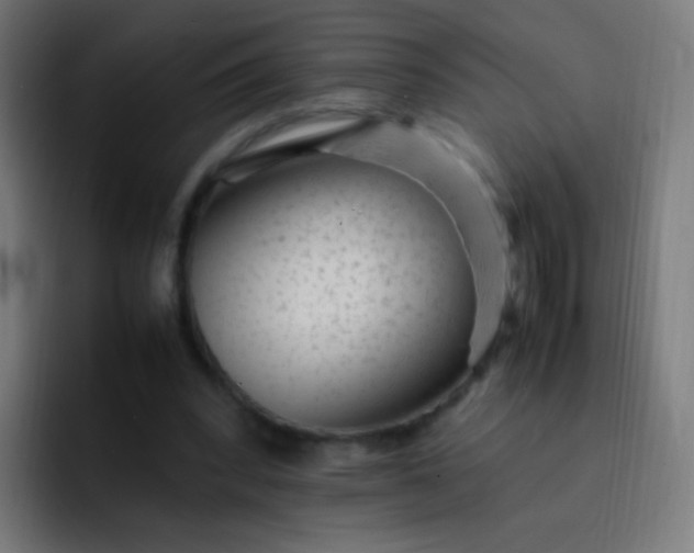 X0000093230392200710101407