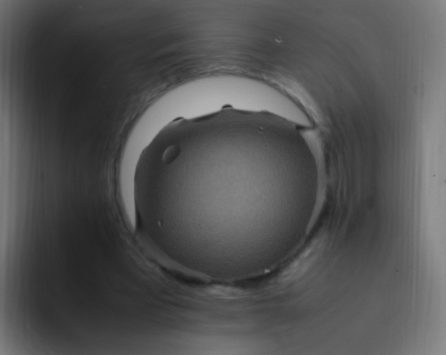 X0000093230393200710101407