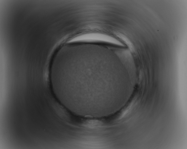 X0000093230399200710101407